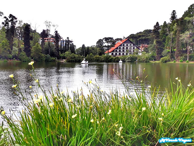 O que fazer em Gramado - Lago Negro