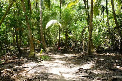 Tayrona National Park, P.N. Tayrona, parque nacional de colombia, parques nacionales de colombia