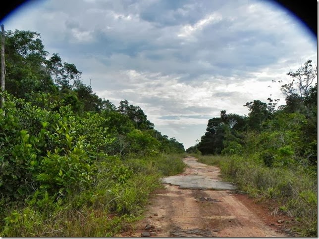 BR-319_Humaita_Manaus_Day_4_DSCN7887