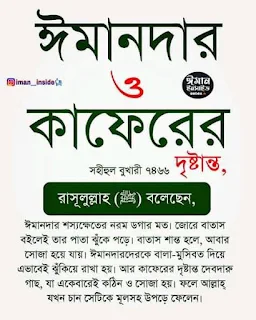 quran quotes in bengali