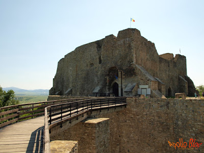 Cetatea Neamtului