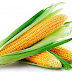 Easy Techniques Crop Corn