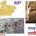 मध्य प्रदेश का प्राचीन इतिहास MPPSC, UPSC एवं अन्य प्रतियोगी परीक्षाओं के लिए उपयोगी  Ancient History of Madhya Pradesh 