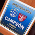 Deportivo Unión Campeón en Reserva LIFUNE Sur