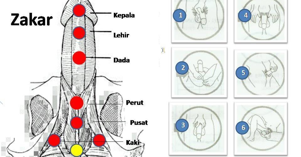 Cara Urut Zakar Yang Betul  Video Bokep