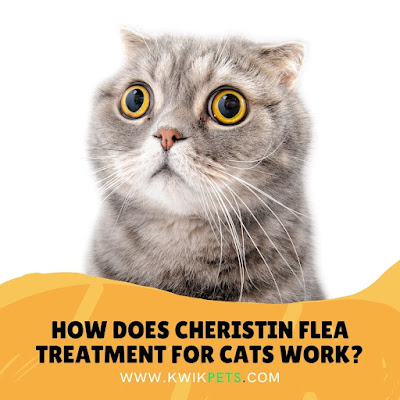 Cheristin for cats