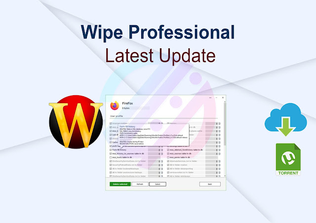Wipe Professional 2023.07 Latest Update