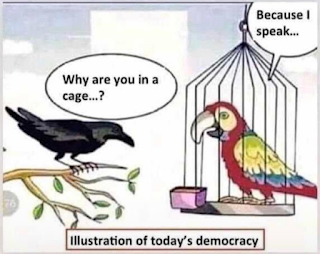 Is India Still a Democracy