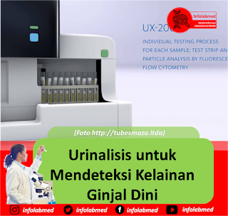 Kelainan Ginjal,kelainan ginjal pada janin,kelainan ginjal bawaan,kelainan ginjal pada bayi,kelainan ginjal saat reabsorpsi,kelainan ginjal pada anak,kelainan ginjal albuminuria,kelainan ginjal pada bayi baru lahir,kelainan ginjal pada manusia,kelainan ginjal dan penyebabnya,kelainan ginjal adalah,kelainan ginjal pdf,kelainan ginjal pada saat reabsorpsi,kelainan ginjal pada sistem ekskresi,kelainan ginjal kongenital,kelainan ginjal brainly,kelainan ginjal dan cara mengatasinya,kelainan ginjal berdasarkan uji lab,kelainan ginjal bawaan lahir,kelainan ginjal pada ibu hamil,kelainan ginjal dan penjelasannya,kelainan anatomi ginjal,kelainan anak ginjal,kelainan pada ginjal adalah,ciri kelainan ginjal albuminuria,yang termasuk kelainan ginjal albuminuria,kelainan kekurangan hormon anak ginjal,gejala kelainan ginjal pada anak,manakah yang termasuk kelainan ginjal albuminuria,artikel kelainan ginjal,kelainan kelenjar anak ginjal,kelainan dan penyakit pada ginjal adalah,kelainan batu ginjal,kelainan bentuk ginjal,kelainan pada ginjal brainly,kelainan ginjal yang berhubungan dengan pernapasan,kelainan pada ginjal beserta gambarnya,kelainan anatomi ginjal bawaan,kelainan pada ginjal biologi,kelainan pada batu ginjal,sebutkan 3 kelainan ginjal serta sebabnya,kelainan pada bagian ginjal,pasien menderita kelainan ginjal berupa,sebutkan tiga kelainan ginjal serta sebabnya,penyebab kelainan batu ginjal,penyebab kelainan ginjal pada bayi,kelainan ginjal yang mengharuskan cuci darah,kelainan ginjal dan harus cuci darah,ciri kelainan ginjal,ciri2 kelainan ginjal,kelainan pada ginjal dan cara pencegahannya,contoh kelainan ginjal,kelainan dari ginjal,kelainan pada ginjal dan gambarnya,kelainan pada ginjal dan penyebabnya,kelainan pada ginjal dan hati,kelainan pada ginjal dan cara mengatasinya,kelainan pada ginjal dan penjelasannya,kelainan pada ginjal dan gejalanya,kelainan pada ginjal dan kulit,kelainan pada ginjal dan teknologi penanggulangannya,kelainan pada ginjal dalam sistem ekskresi,kelainan kongenital ginjal dan saluran kemih,kelainan pada ginjal dan tempat terjadinya,kelainan pada ginjal dan pencegahannya,kelainan pada ginjal dan penjelasan,kelainan sistem ekskresi ginjal,kelainan pada ekskresi ginjal,kelainan pada organ ekskresi ginjal,kelainan pada alat ekskresi ginjal,kelainan pada sistem ekskresi ginjal,kelainan fungsi ginjal,kelainan fungsi ginjal yang mengandung glukosa,kelainan fungsi ginjal pada proses,kelainan fungsi ginjal pada proses filtrasi,kelainan fungsi ginjal pada,indikasi kelainan fungsi ginjal,tanda kelainan fungsi ginjal,gejala kelainan fungsi ginjal,penyebab kelainan fungsi ginjal,data kelainan fungsi ginjal,hasil lab kelainan fungsi ginjal,hasil laboratorium kelainan fungsi ginjal,sebutkan kelainan fungsi ginjal,makalah kelainan fungsi ginjal,gejala kelainan ginjal,kelainan gagal ginjal,gangguan kelainan ginjal,kelainan pada ginjal jika glomerulus rusak,gambar kelainan ginjal,gejala kelainan ginjal pada bayi,kelainan pada ginjal hati dan kulit