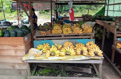 Selama Pandemi Corona, Lima Jenis Buah Ini Laris di Putussibau