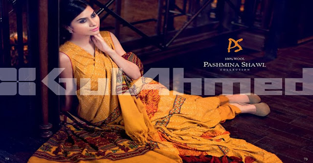 Winter Pashmina Shawls 2013-2014 By Gul Ahmed-29