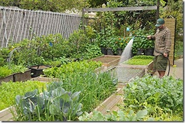 20100413__urban_home