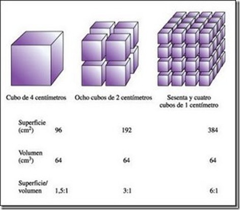 clip_image003