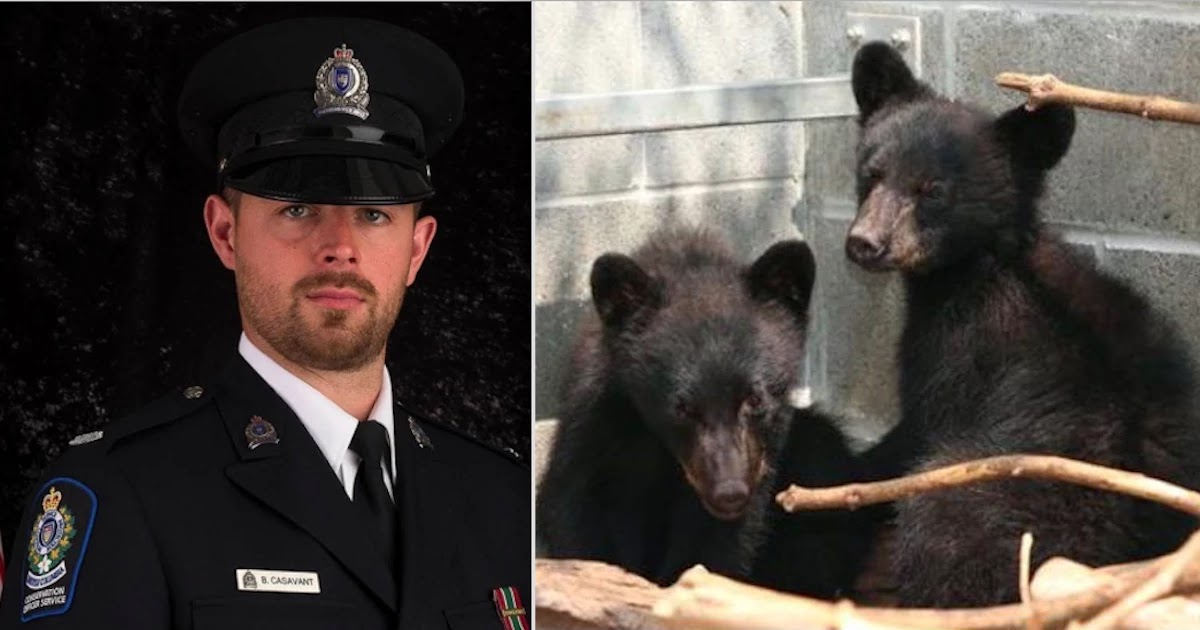 Canadian Conservation Officer Who Was Fired For Refusing To Kill Two Bear Cubs Wins Long Legal Battle