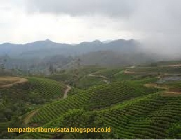 https://FindWisata.blogspot.com