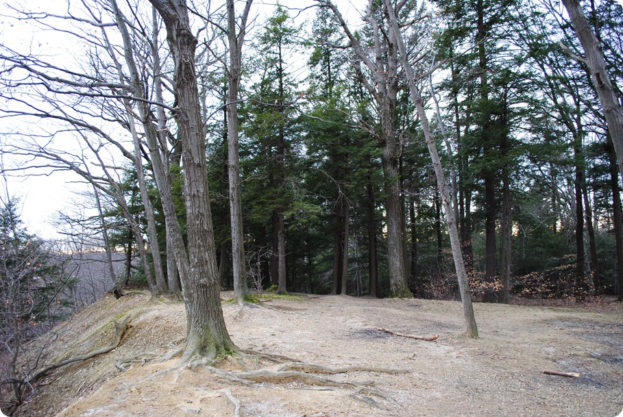 DSC_0166