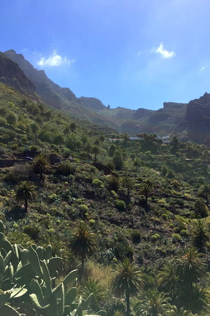Masca_Vegetation