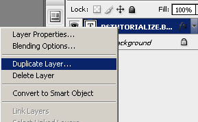 duplication of  layer in photohsop cs3