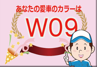 色番号　Ｗ０９　カラーコード　カラーナンバー