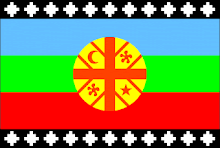 nación mapuche