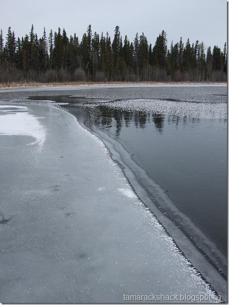 ice3