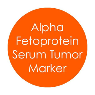 البروتين الجنيني ألفا (الواسمات الورمية) Alpha Fetoprotein