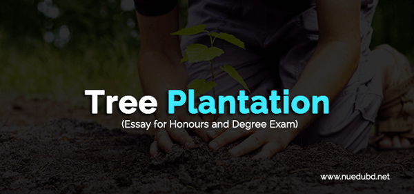 Tree Plantation - Important Essay for Honours Exam