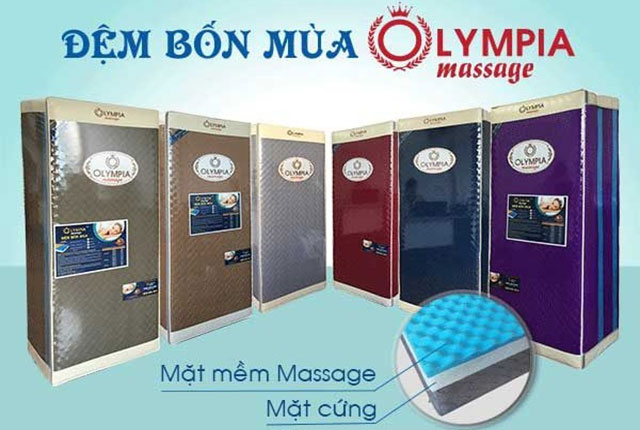 Đệm bông ép Olympia Masage