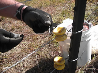 ELECTRIC FENCE SELECTION - SUREGUARD