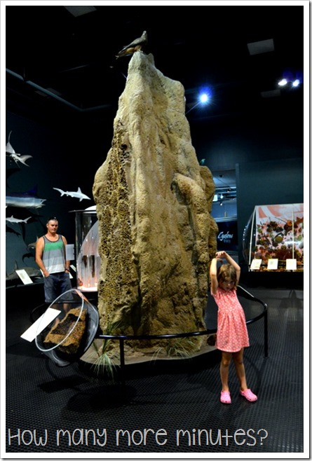 Museum & Art Galeery of the NT | How Many More Minutes?
