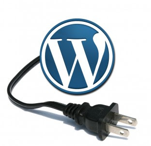 WordPress Logo With Plug Plugin Logo