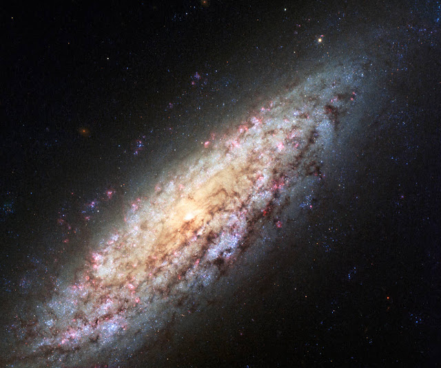 galaksi-ngc-6503-di-local-void-informasi-astronomi