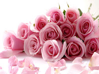 rose photos wallpaper, pink roses photo of bunch