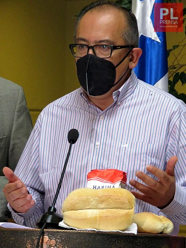 Diputado Héctor Ulloa