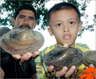 Gempar Etok 'gergasi' di Terengganu