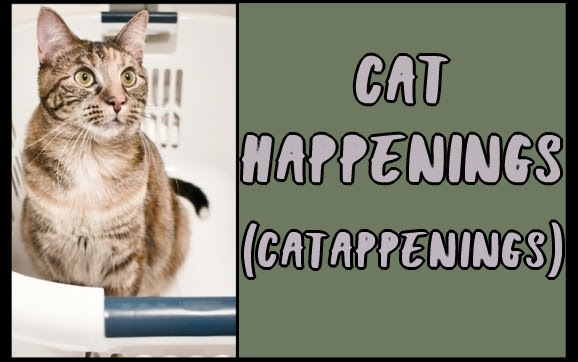 Catappenings