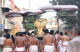 Sri Ranganatha Perumal, Pallava Utsavam, Sri Mannatha Perumal,Thirumanjanam, Purappadu,  Triplicane,  Purappadu, Thiruvallikeni, Utsavam, 