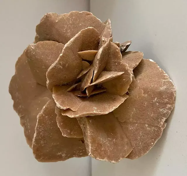 Desert Rose from Tunisia