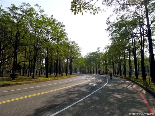 P1180635.JPG