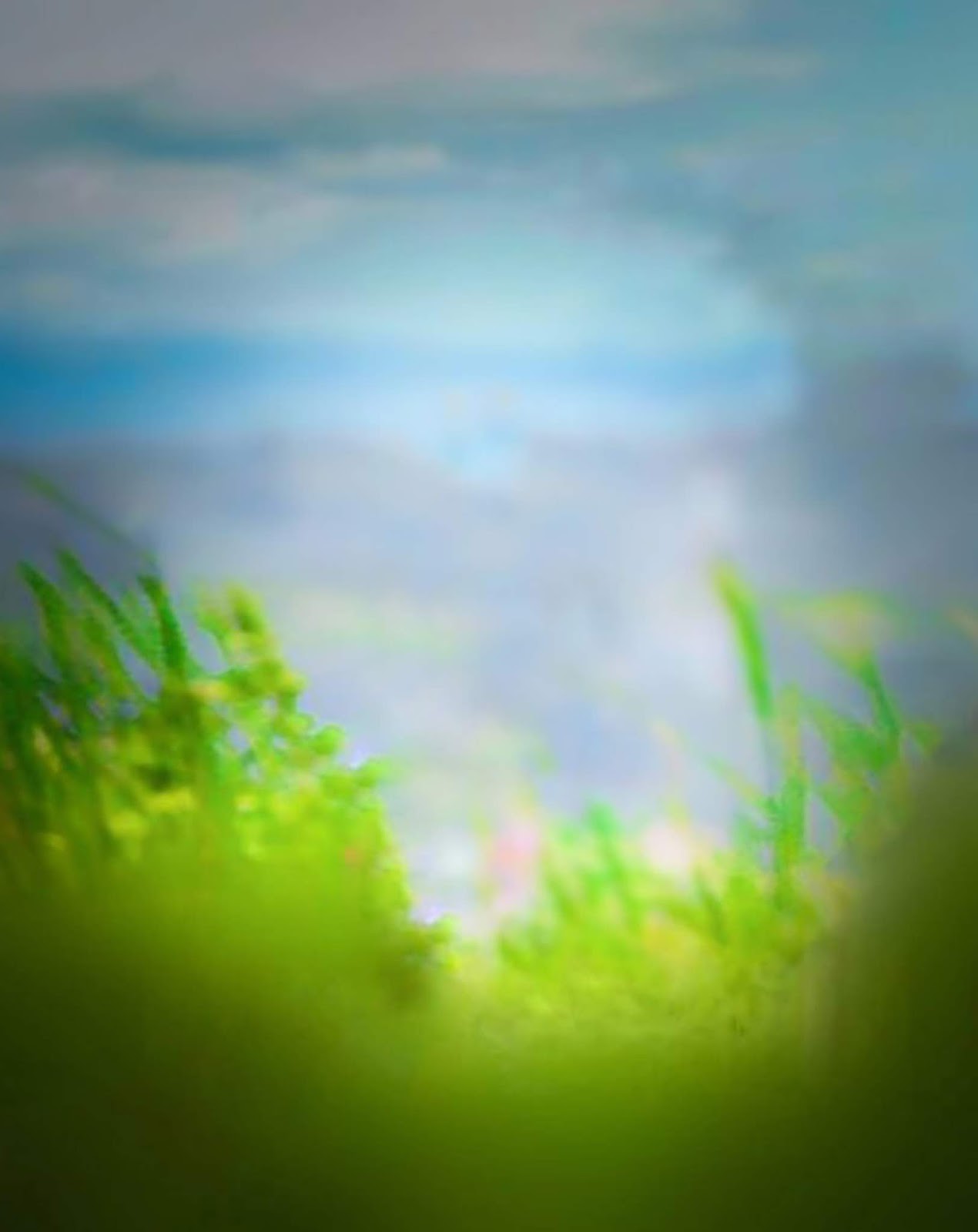 Free Stock Images, Free Stock Photos, Stock Images, nature Background, Blur Background, New Blur Nature Background, Free Stock Background Images