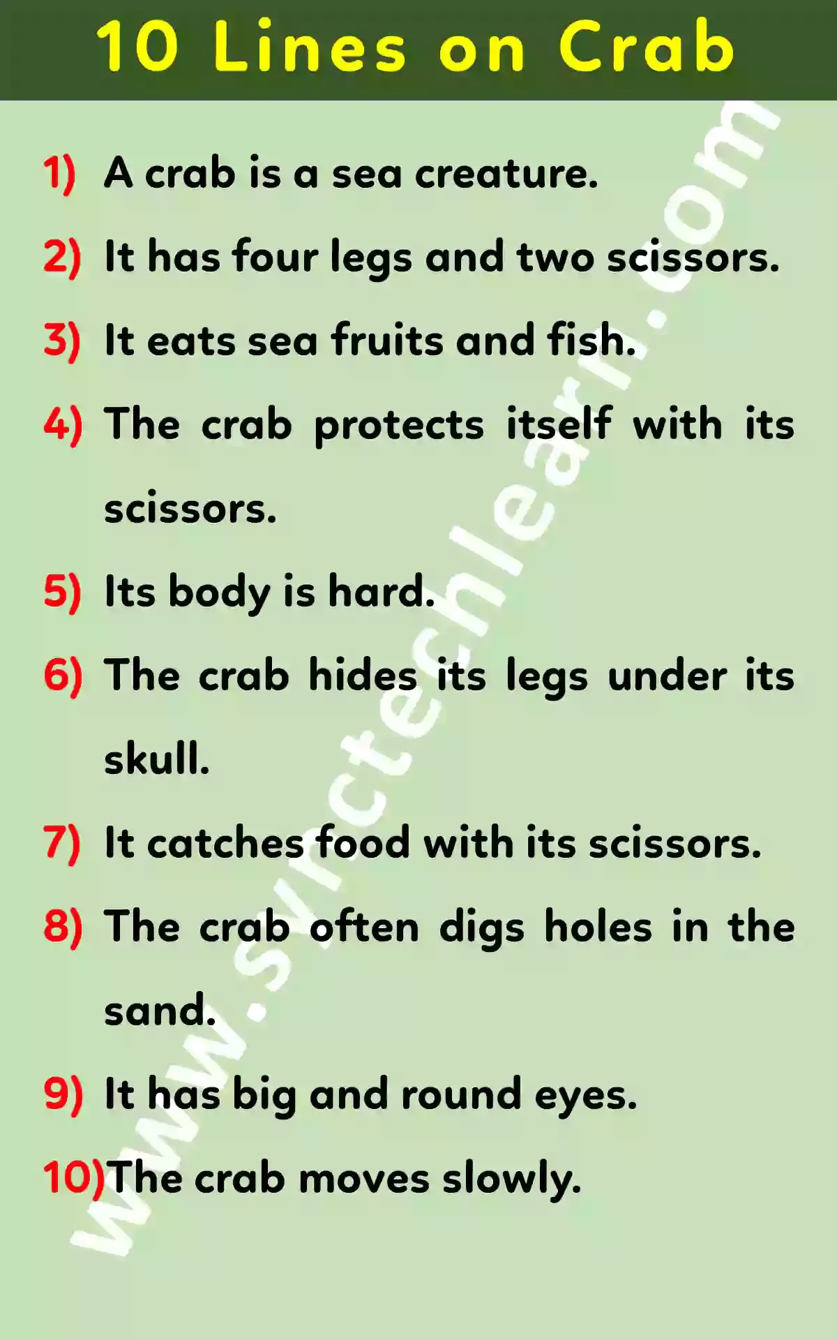 Short Essay On Crab In English