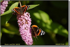 Brandon Marsh D50  01-09-2012 14-55-034