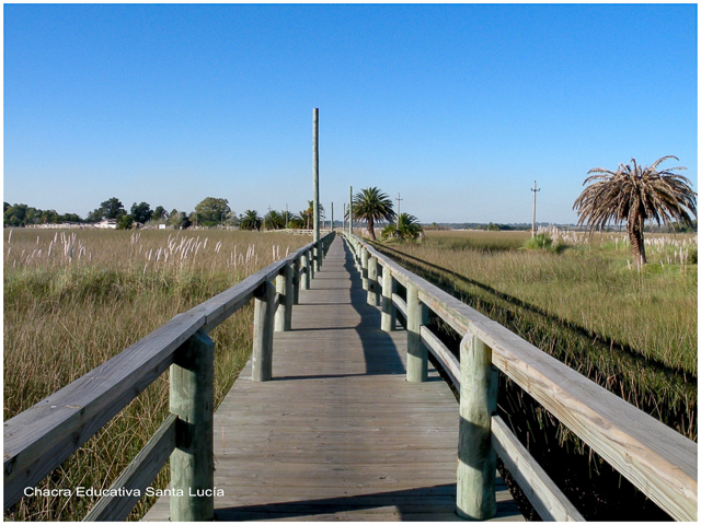 Parque Natural Municipal de los humedales del Sta Lucía - Chacra Educativa Santa Lucía