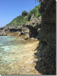 IMG_3255