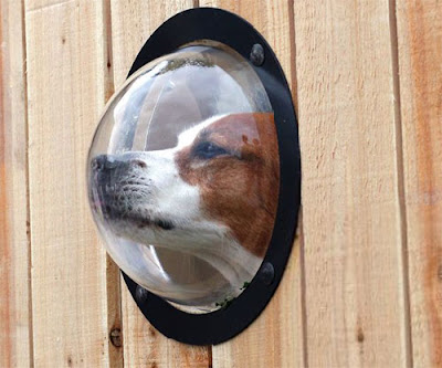 Puppy Porthole for your pooch!