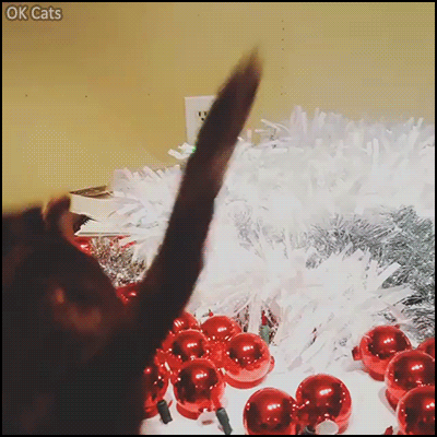 Christmas Kitten GIF • Happy kitty loves to jump and play with Xmas ornaments. Xmas time is play time [ok-cats.com]