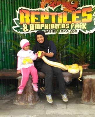 Reptil-GL-Zoo-Jogja