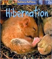 hibernation by Anita Ganeri