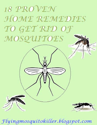 18 PROVEN EFFECTIVE HOME REMEDIES TO GET RID OF MOSQUITOES