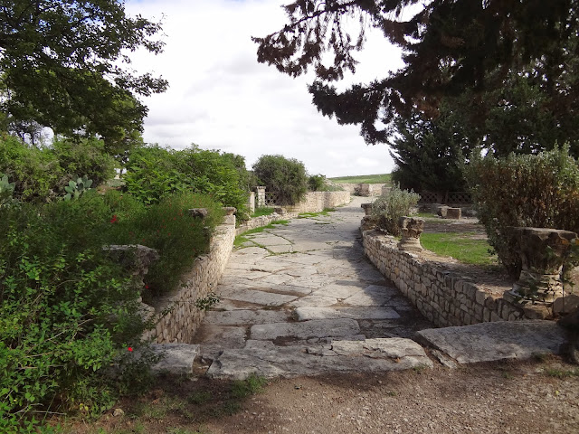 Site archéologique de Makthar